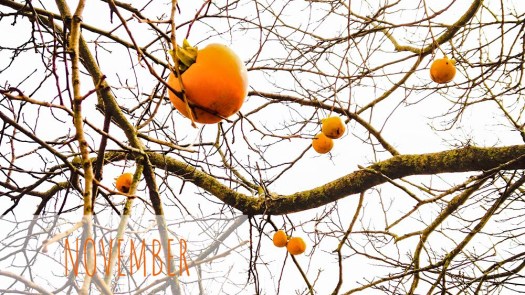 0F465D9C-B3D1-4EDA-B2B9-9FF3DD09155D