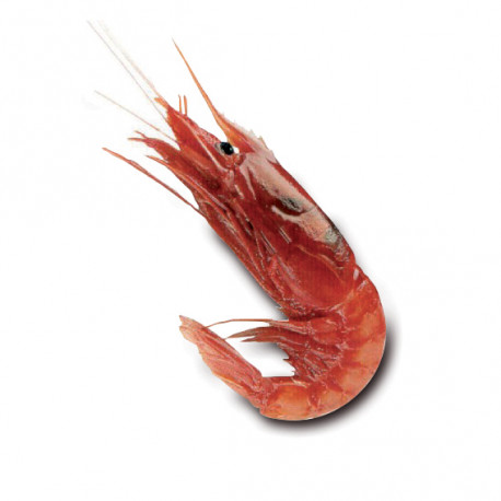 1359FC25-BEC1-4D70-8265-55A07B88D9D2